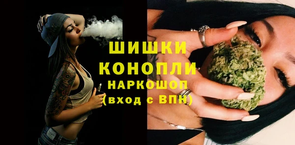 шишки Балахна
