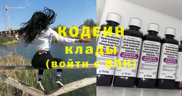 шишки Балахна