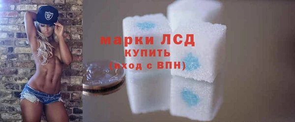 стаф Баксан