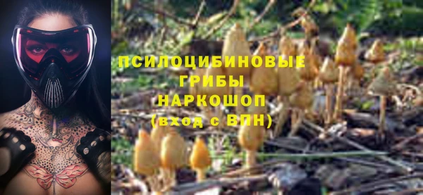 шишки Балахна
