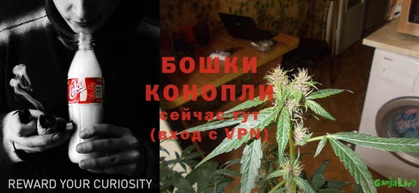 шишки Балахна