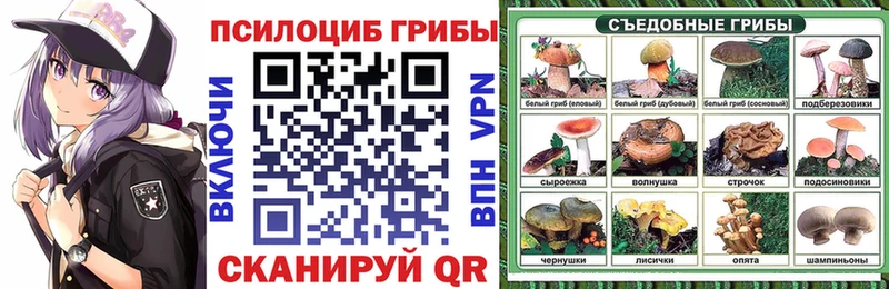 даркнет сайт  Мариинский Посад  Галлюциногенные грибы мицелий 